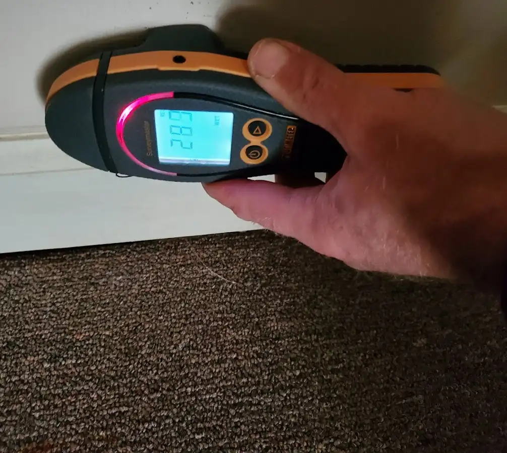 Moisture detection at baseboard during Mold Inspection & Testing in Grinnell
